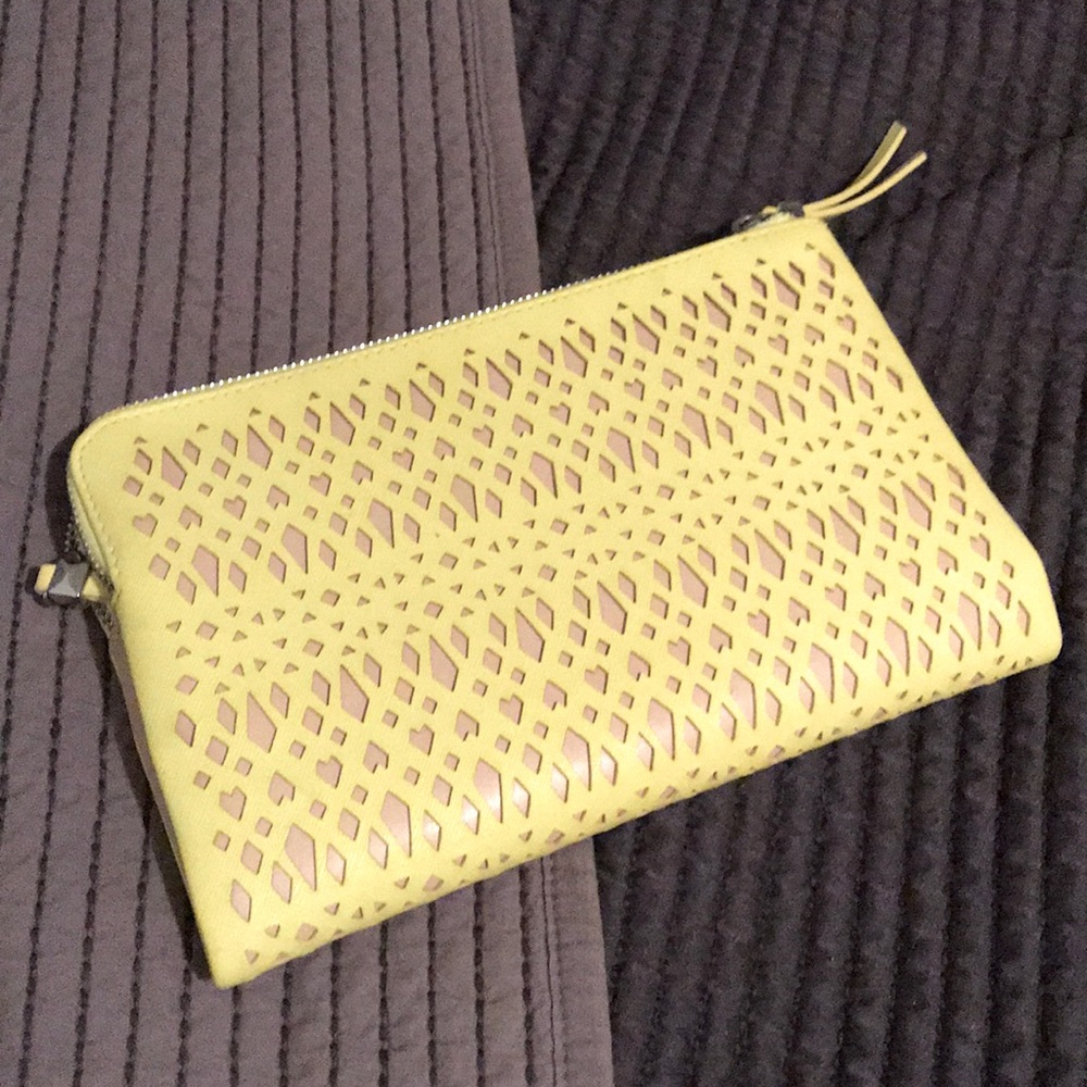 Stella & Dot clutch
